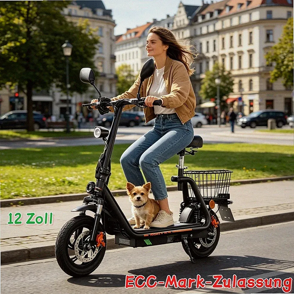 12" Elektroroller 48V13AH Mit Straßenzulassung Scooter 40KM/H TWOFISH M5 PRO