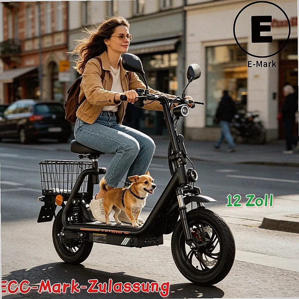 12" Elektroroller 500W-Motor 48V 13AH Mit Straßenzulassung E-Scooter 40 km/h Neu
