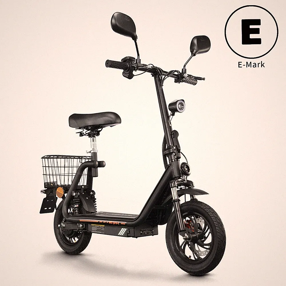 12" TWOFISH M5 PRO-E Elektroroller 48V13AH Mit Straßenzulassung Scooter mit Sitz