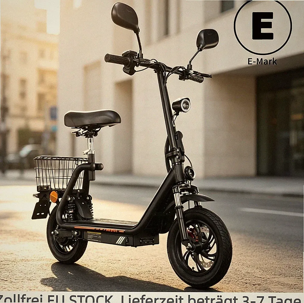 12 Zoll Mit Sitz Elektroroller TWOFISH Elektro-Roller 48V Straßenzulassung&EEC
