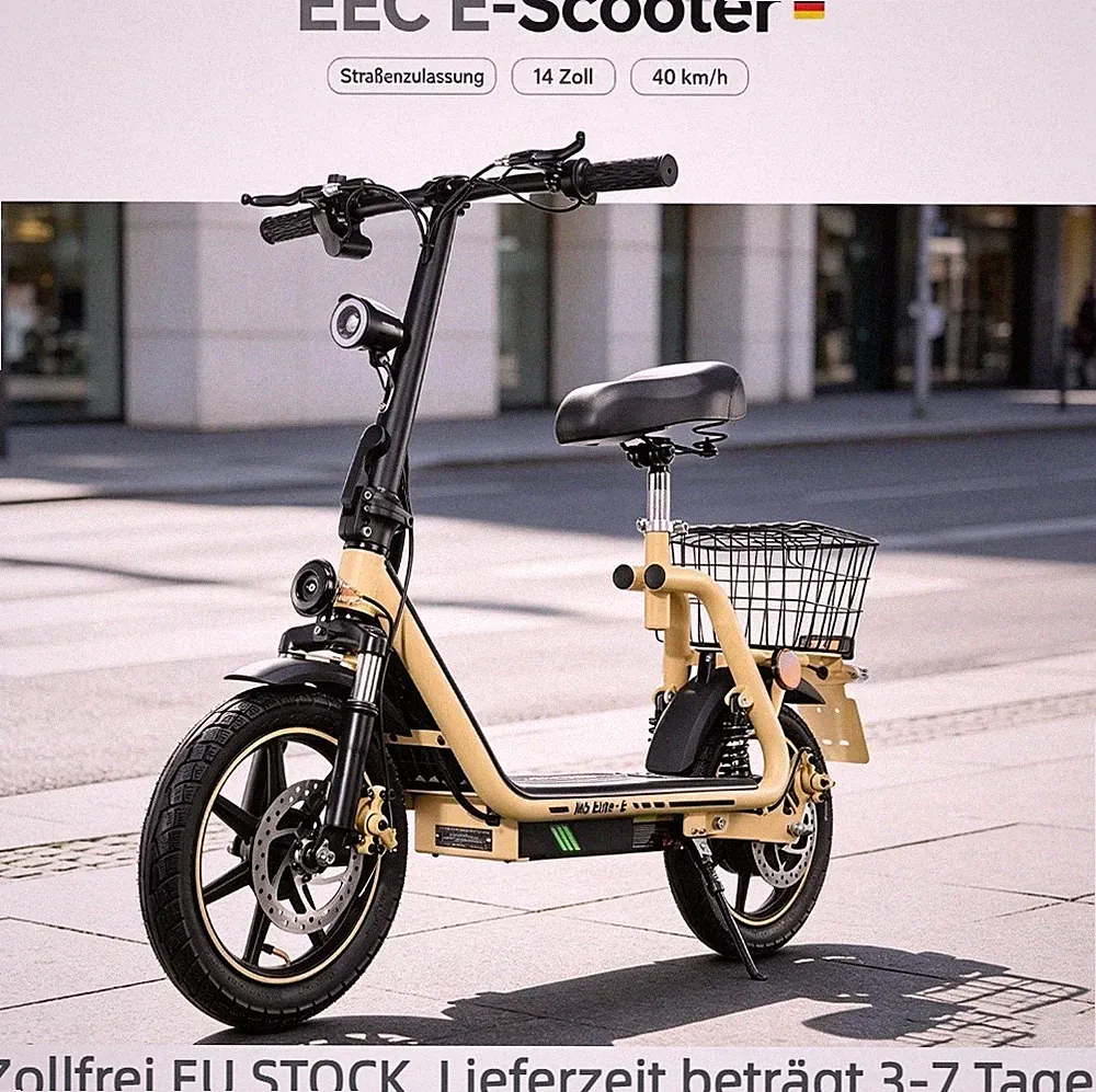14" Elektro-Roller Mit Sitz TWOFISH Elektroroller 48V13AH Mit Straßenzulassung