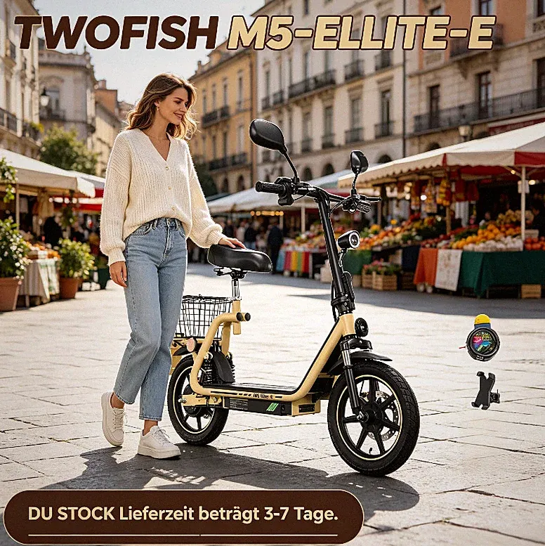 14" Elektroroller Mit Sitz,Mit Straßenzulassung & EEC 48V 13AH TWOFISH E-Scooter