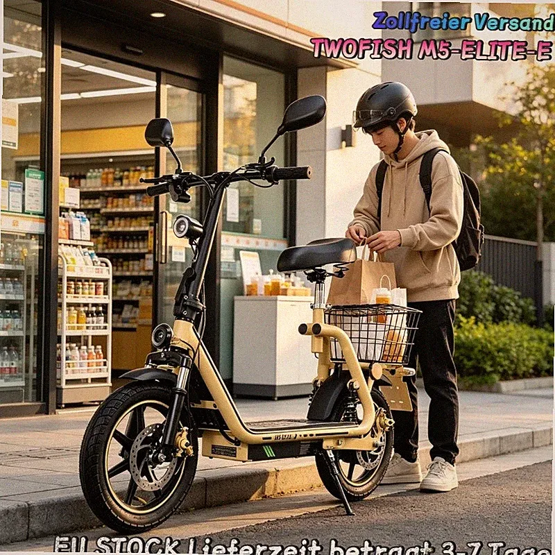 14Zoll Elektroroller Mit Straßenzulassung48V13AH E-Scooterfür Erwachsene TWOFISH