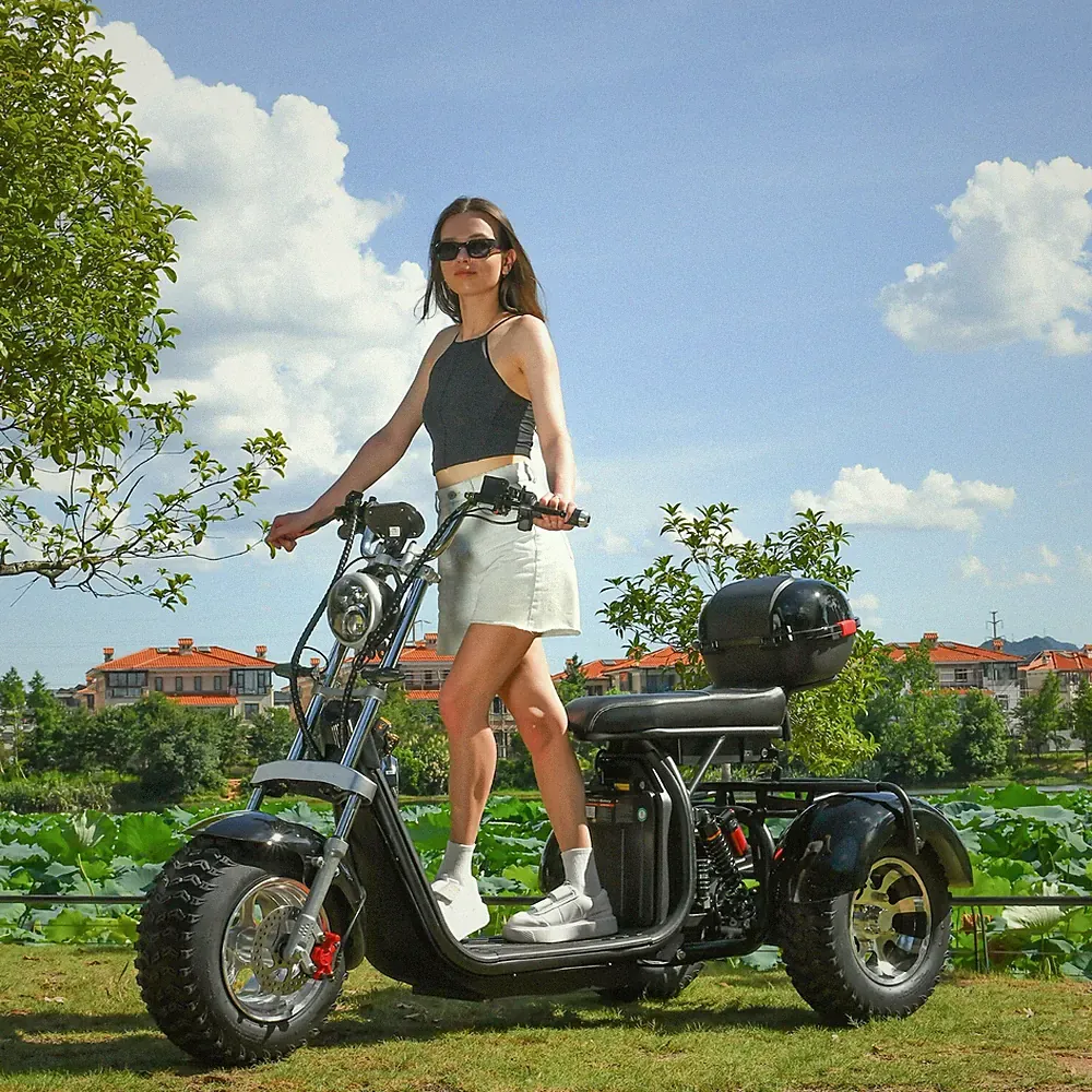 18 Zoll Fat Citycoco Elektroroller 2000W Motor 45KM/H Maximale Last 250KG COC