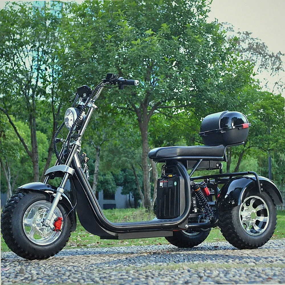 18 Zoll Reifen Citycoco Elektroroller 2000W Motor 45KM/H Maximale Last 250KG COC