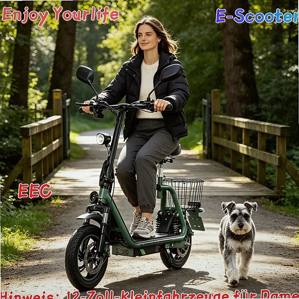 48V 13AH Mit Straßenzulassung 12" Elektroroller E-Scooter TWOFISH M5PRO 40KM/H