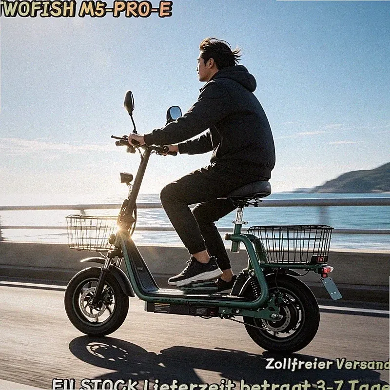 48V 13AH Straßenzulassung 12" Elektroroller mit Sitz TWOFISH M5PRO E-Scooter