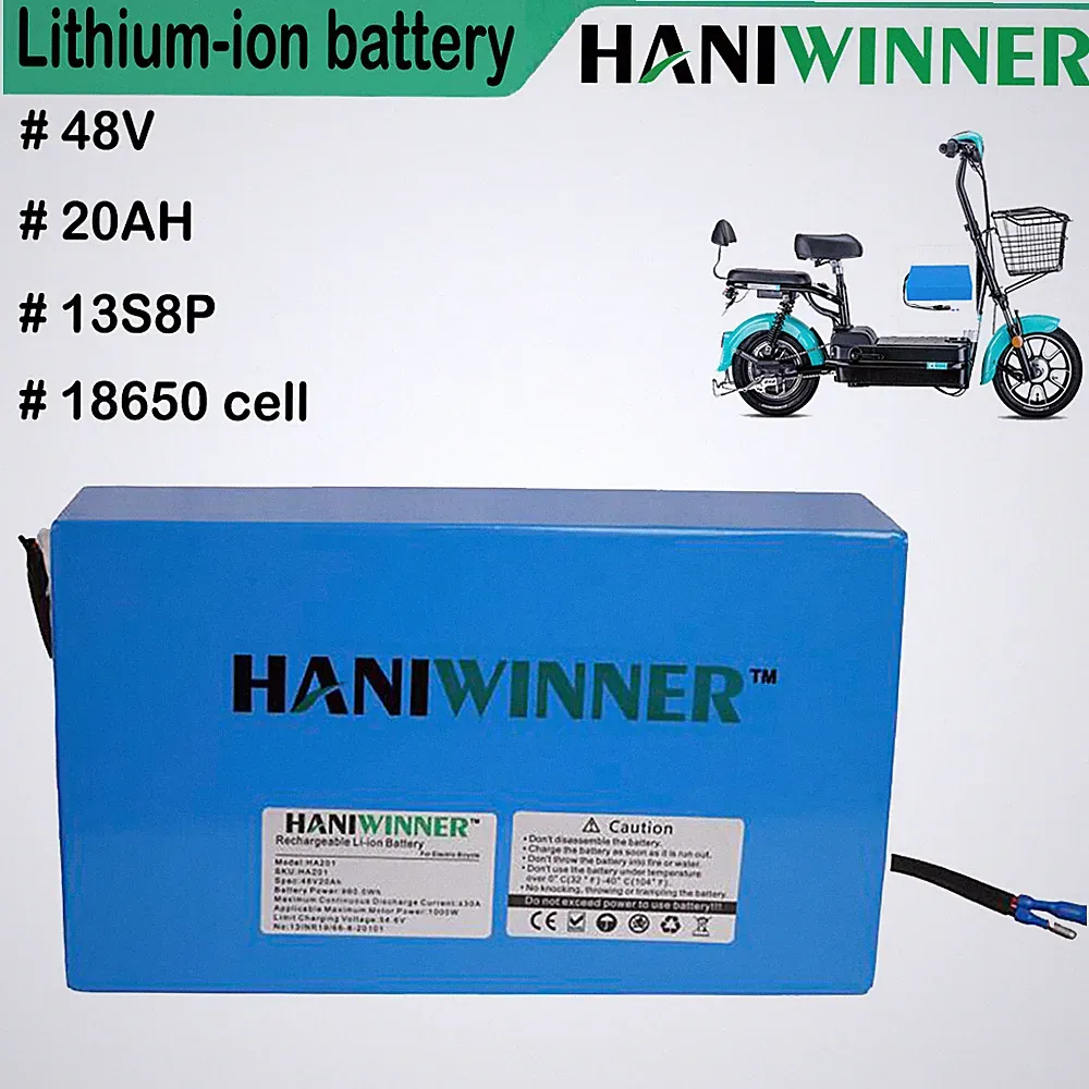 48V 20Ah 13S8P Elektro Fahrrad Roller Akku integriertes BMS mit Ladegerät