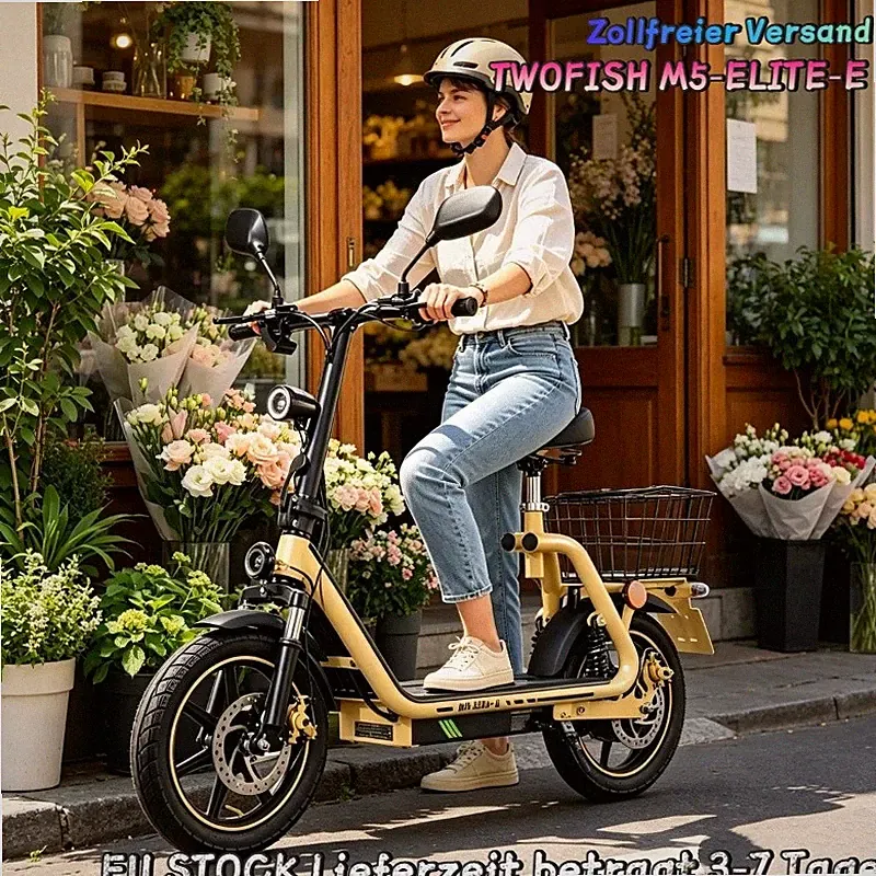 48V13AH E-Scooter für Erwachsene 14Zoll Elektroroller Mit Straßenzulassung