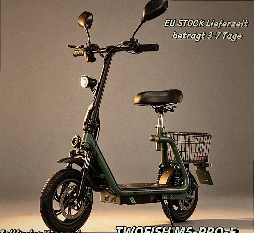 48V13AH Mit Straßenzulassung 12" Elektro-Roller 30KM TWOFISH M5PRO Elektroroller
