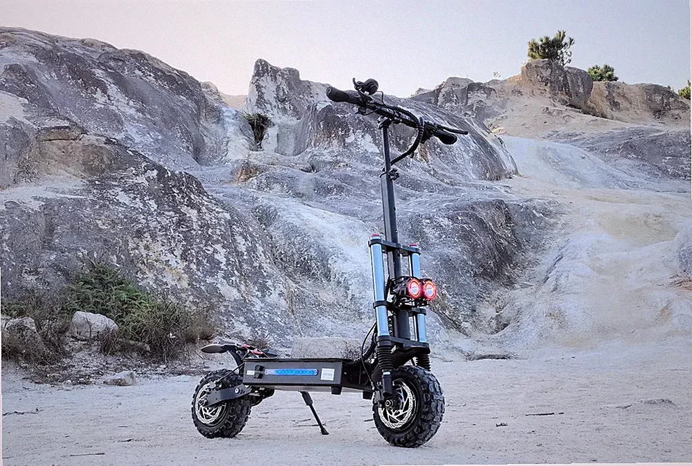 55 cm Erwachsene