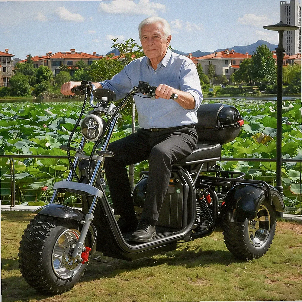 Belastung 250KG 18-Zoll-Fettreifen Citycoco Elektroroller 2000W Motor 45KM/H COC