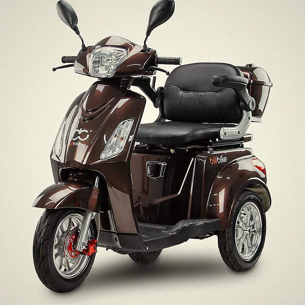 BILI BIKE SHINO G2 20Ah LIT Elektrischer Dreirad-Roller 1000W 25 km/h 60 km Reic