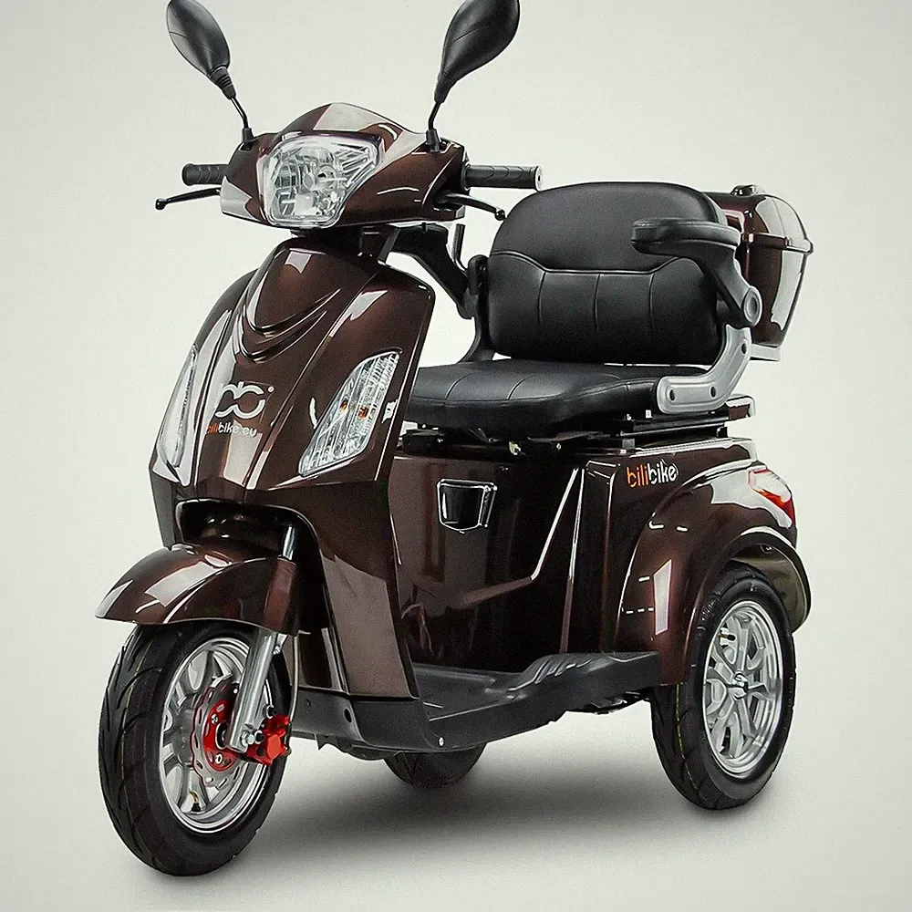 BILI BIKE SHINO G2 GEL Elektrischer Dreirad-Roller 1000W 25 km/h 60 km Reichweit