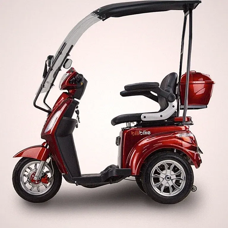 BILI BIKE SHINO G2 GEL Elektrischer Dreirad-Roller mit Dach 1000W 25 km/h 60 km