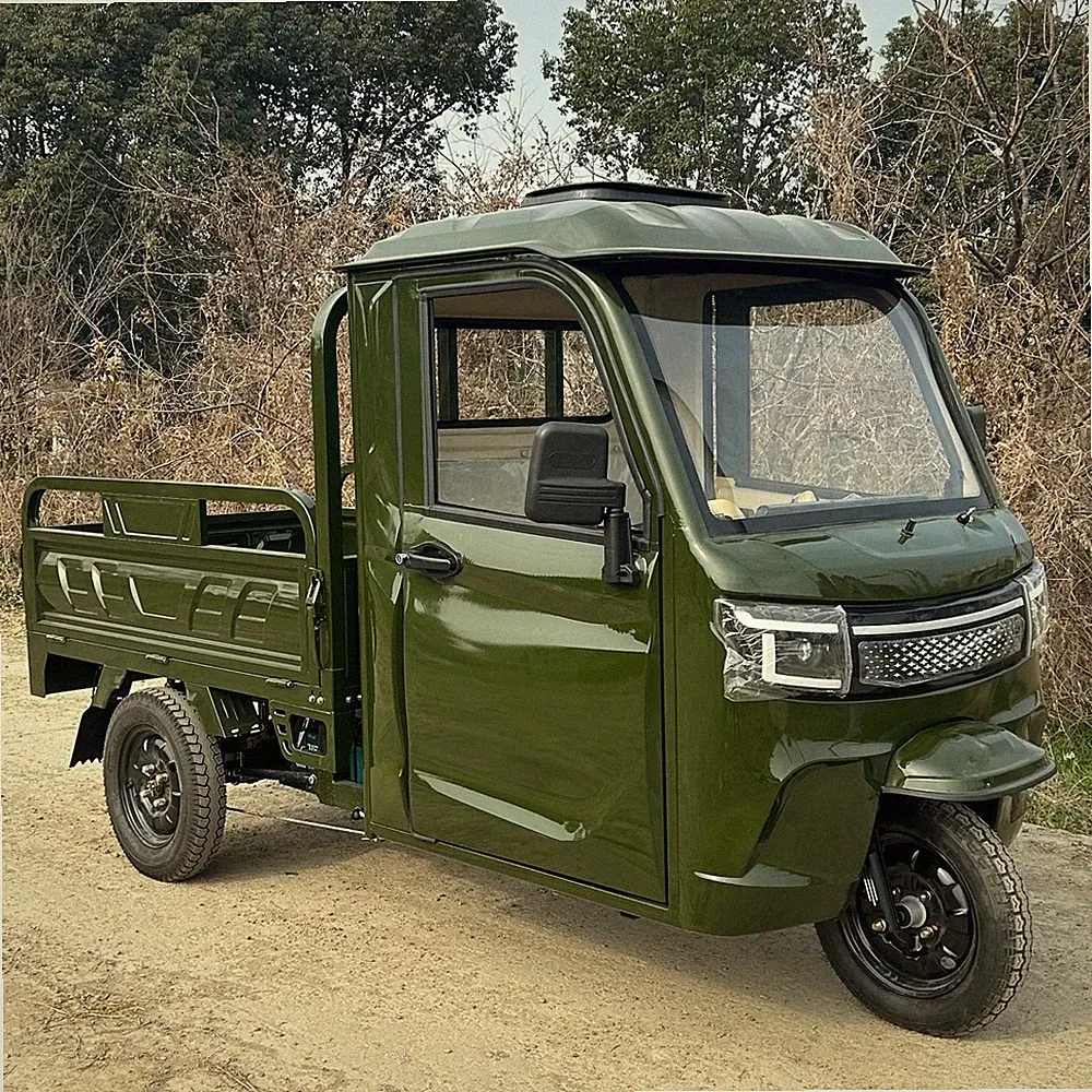 Cargo Elektro Lastendreirad 25 Km/h oder mit 45 km/ h 72V 45AH Vollkabine