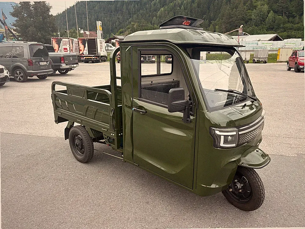 Cargo Elektro Lastendreirad Carry Lite 45 Km/h 72V 45AH Vollkabine TUK TUK
