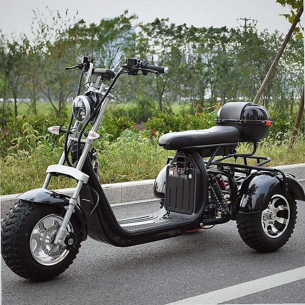 Citycoco fat Scooter Kilometerstand 70-100KM Elektroroller 2000W Motor 45KM/H