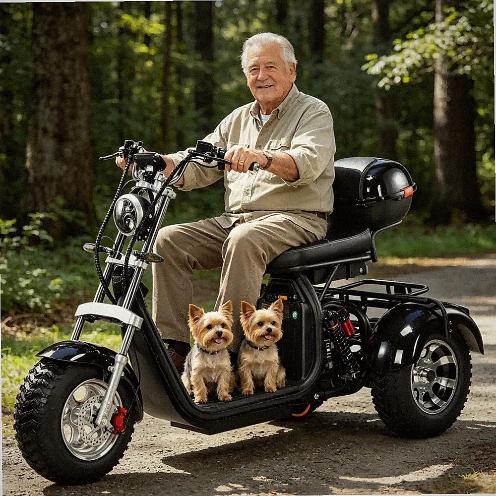 COC Maximale Last 250KG 18 Zoll Fat Harley Elektroroller 45KM/H Beladung 250KG
