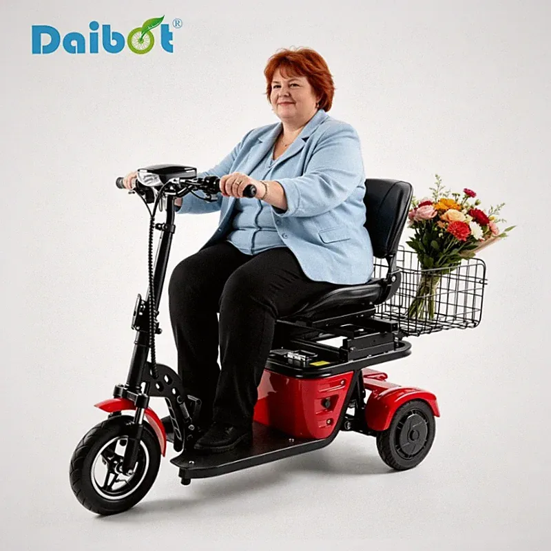 Daibot Klappbarer Senioren E-Roller mit 3 Rädern 500W Dualantrieb 36V Akku