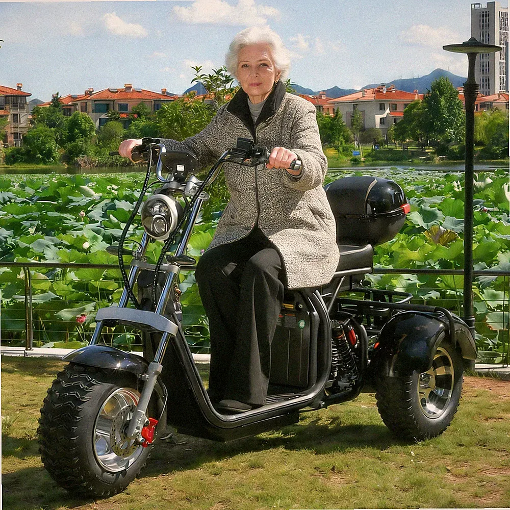 Der 2000-W-Elektroroller hat eine maximale Belastung von 250 kg EEC COC 45KM/H