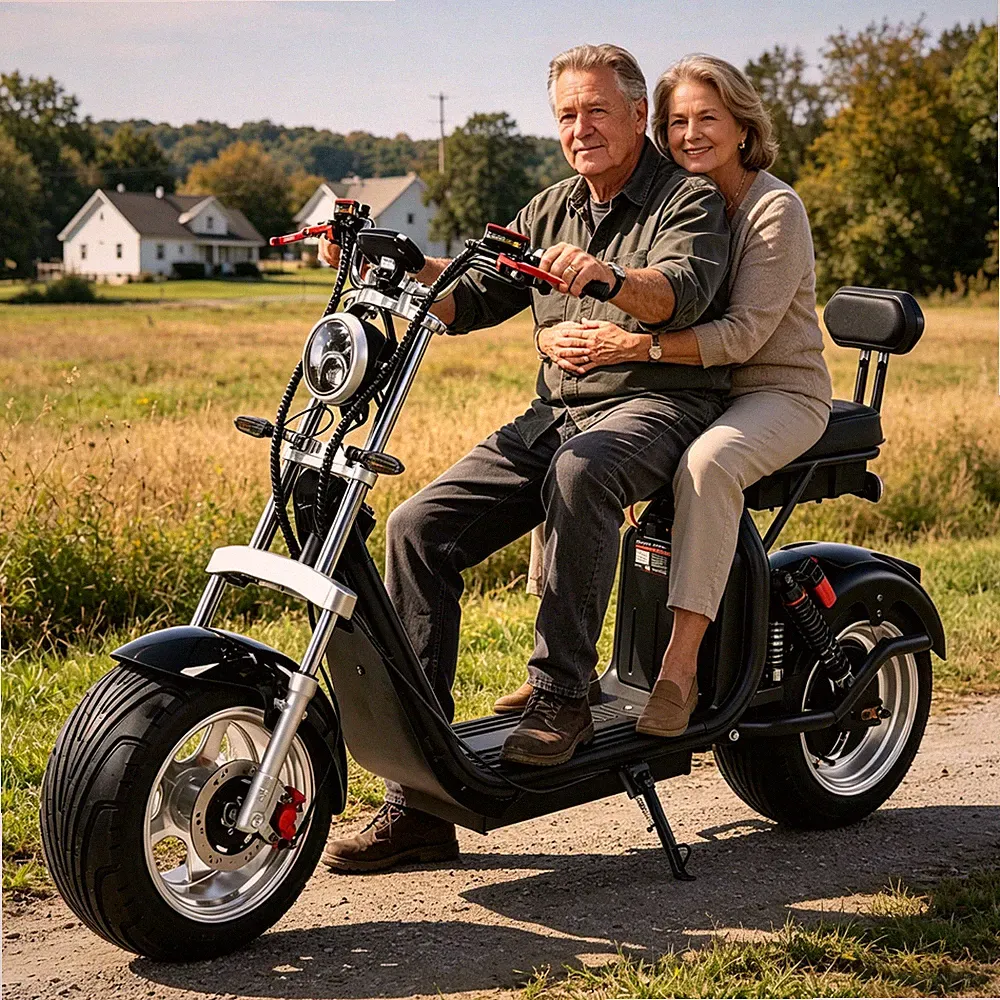 Deutscher, gesetzlich zertifizierter Harley-Elektroroller mit 3000-W-Motor COC