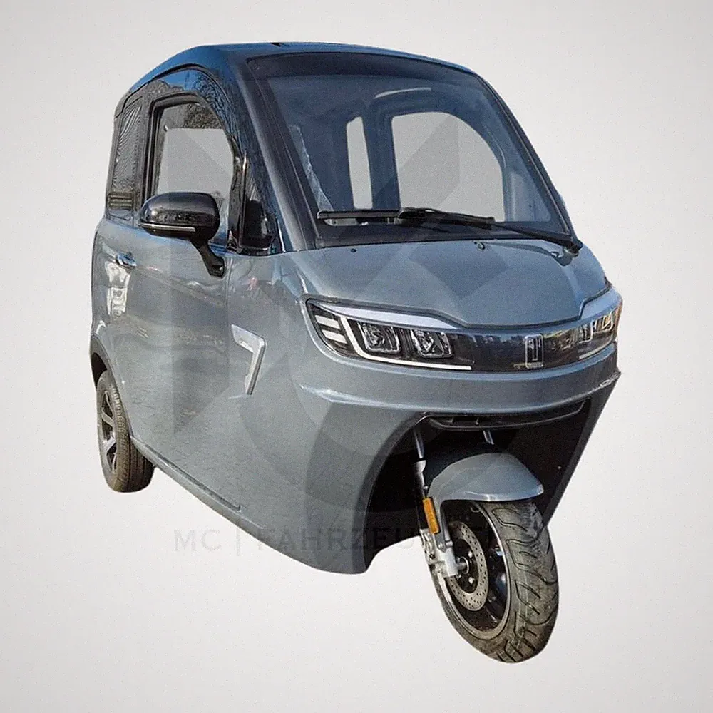 EcoCruiser Kabinenroller 2kW 25km/h 60 km Reichweite LED Rückfahrkamera 3-Rad
