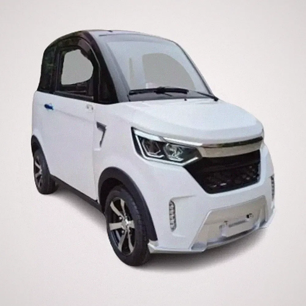 EcoRider Pro Kabinenroller | Elektro 25 km/h | 72V 58Ah Straßenzulassung 2 pers.