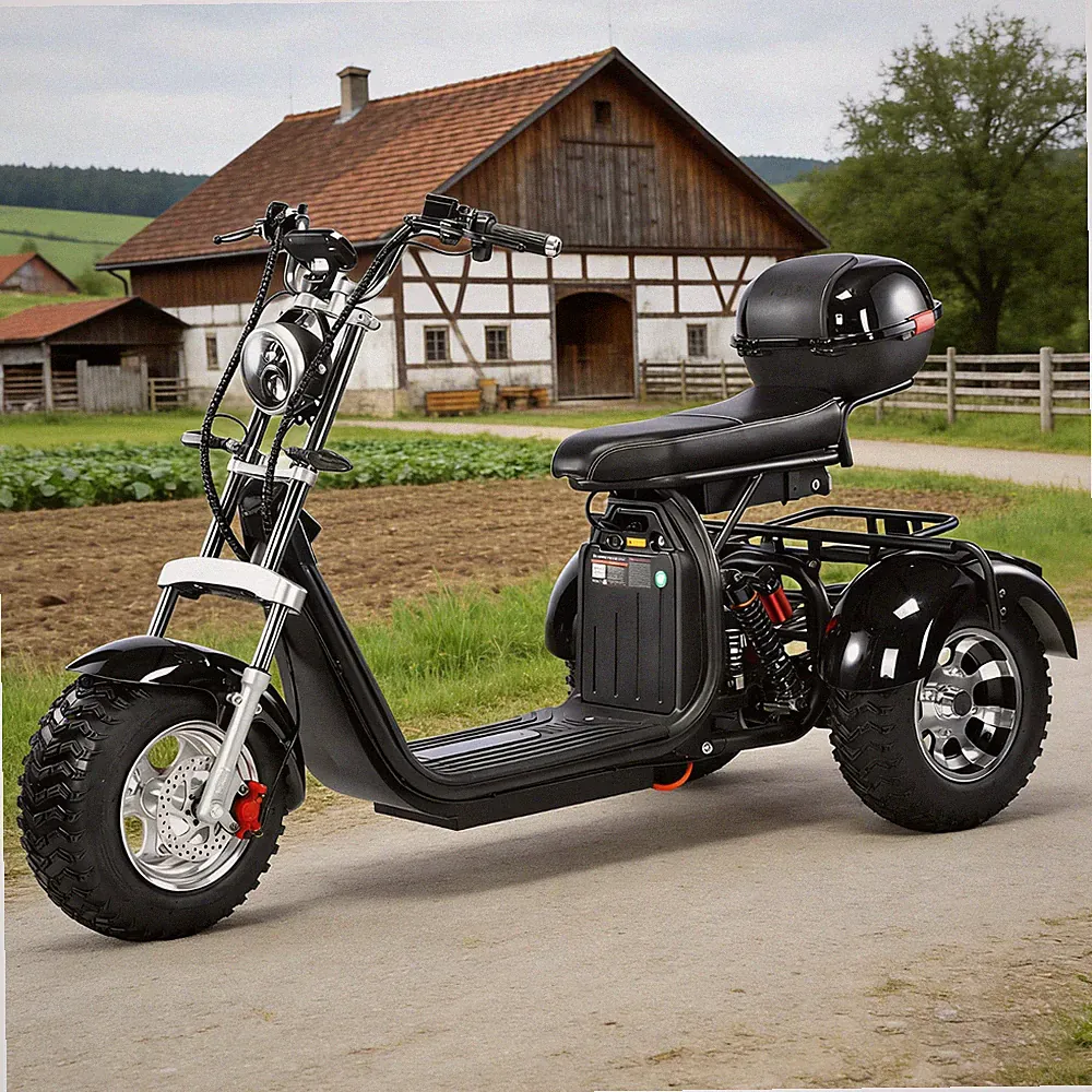EEC COC Elektroroller mit rutschfesten 18-Zoll-Reifen für Senioren 2000W Motor