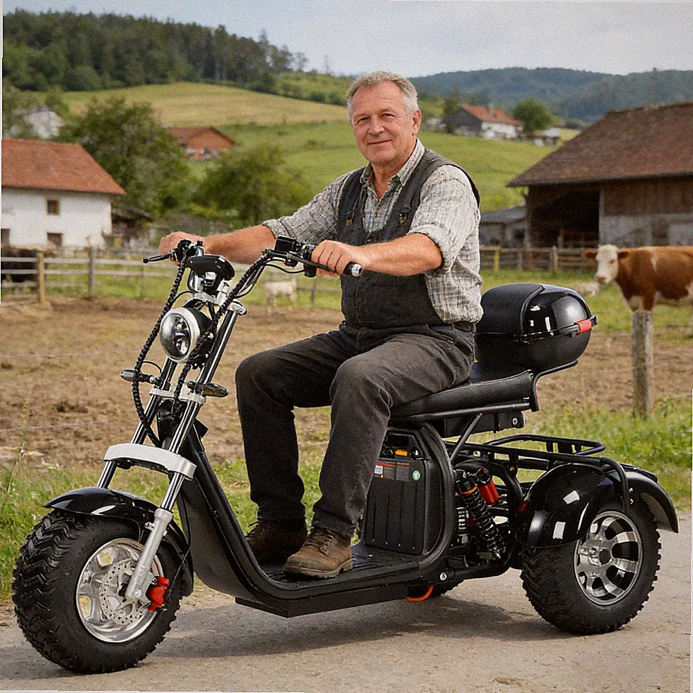 EEC COC Maximale Last 250KG 18-Zoll-Reifen Elektroroller 2000W Motor 45KM/H
