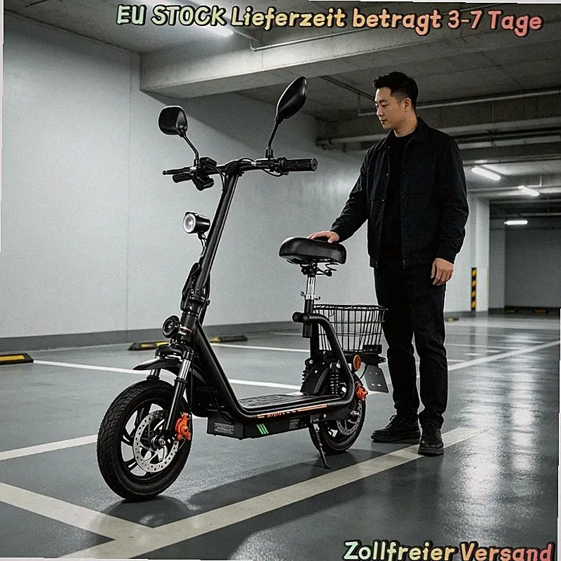 EEC Scooter mit Sitz TWOFISH 12 Zoll Elektroroller 48V 13AH Mit Straßenzulassung