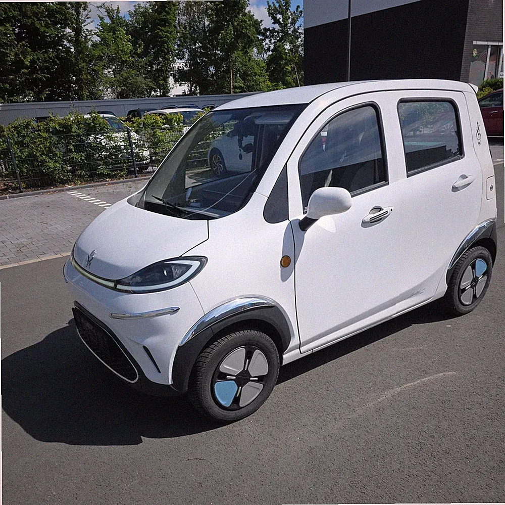 ElektroBest Gao 6kW ElektroMobil Seniorenmobil ElektroAuto Kabinenroller 45kmh