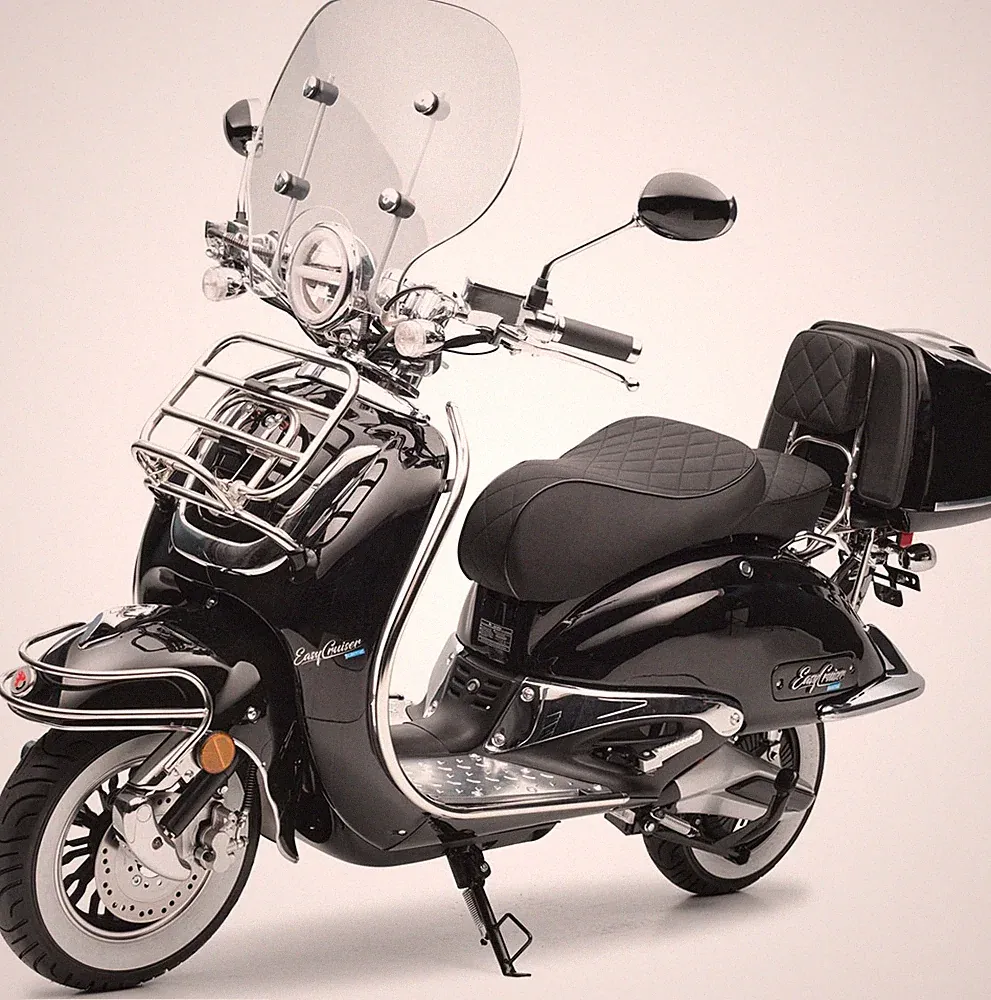 Elektroroller Burnout EasyCruiser Elektro Schwarz Doppelakku