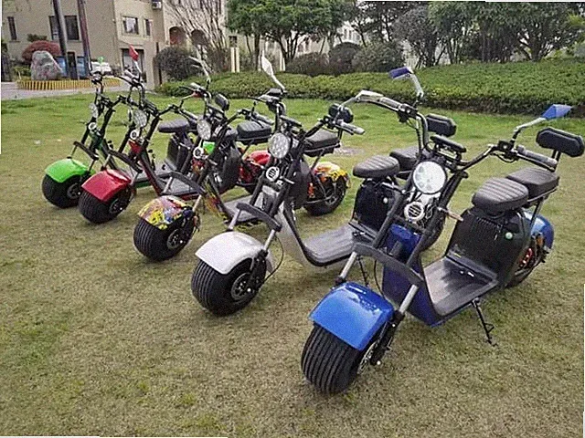 Elektroroller,Elektro Chopper, 2000Wat, 20Ah, bis 45 Km/h,Reichweite bis60-70 Km