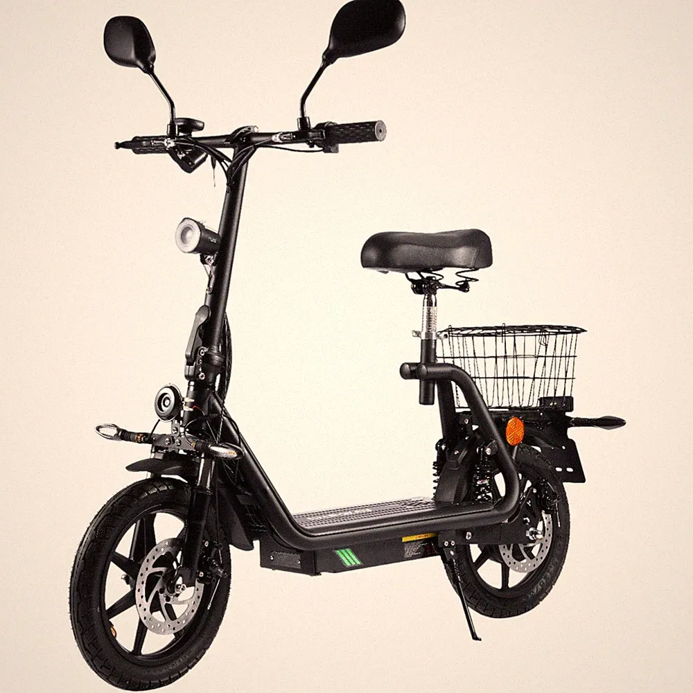 ENEWAY City Floh-S Elektroroller 20 km/h mit Straßenzulassung & 500W Motor BLACK