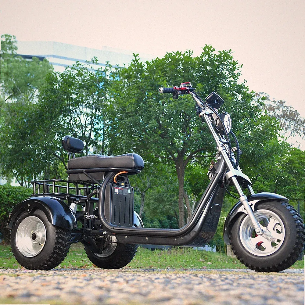 55 cm Elektroroller