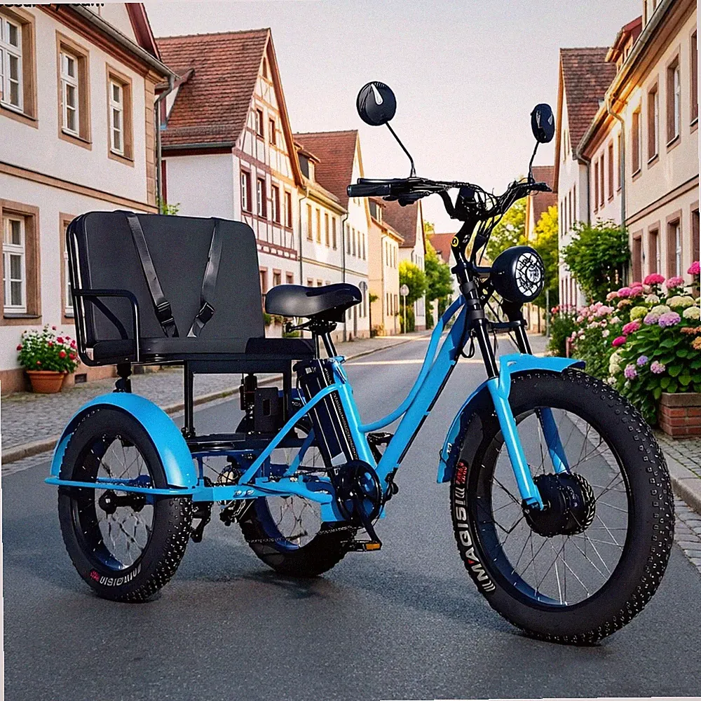 Vorderradbremse Elektroroller
