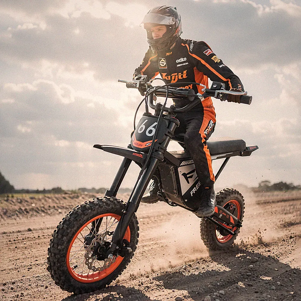FREEBOY Elektro Motorrad 3000W 48V 30AH Dirt Bike 55KM/H 12 Zoll E-Motorrad