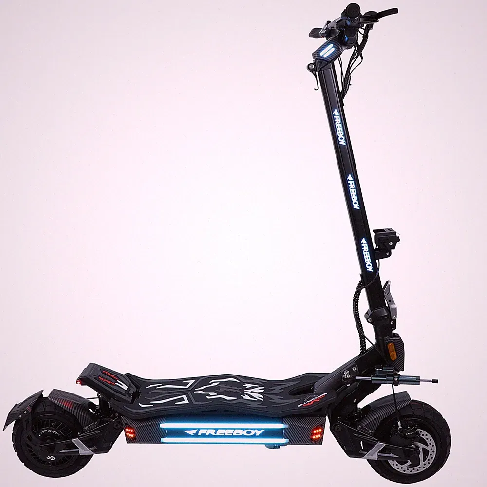 Freeboy H16 Elektroroller 11" E-Roller 3000W 60V 30Ah Off-road E-Scooter 60 km/h