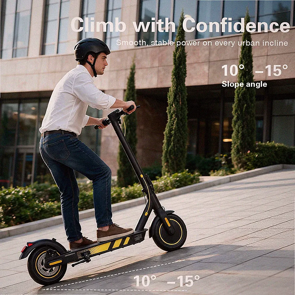 FREEBOY J04 Elektroroller 10 Zoll 36V15AH E-Scooter 600W 35km/h Offroad E-Roller