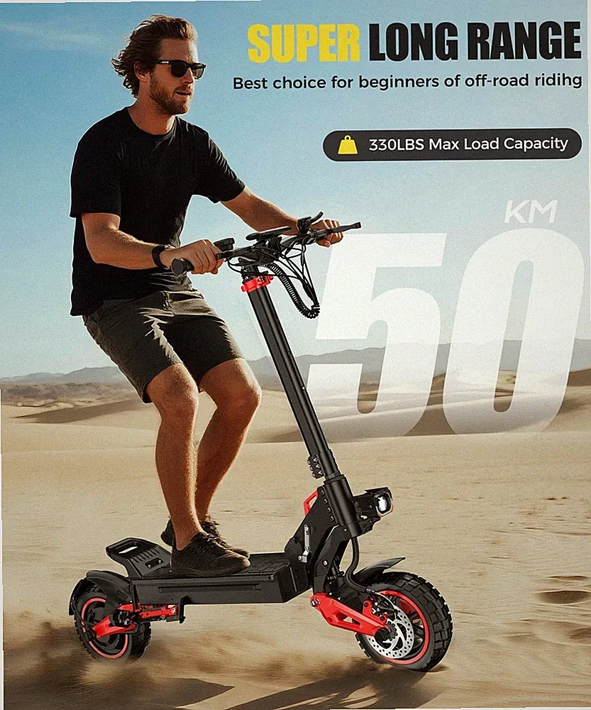 Freeboy J15 MAX Off Road E-Scooter für Erwachsene 11'' Elektroroller E-Roller DE