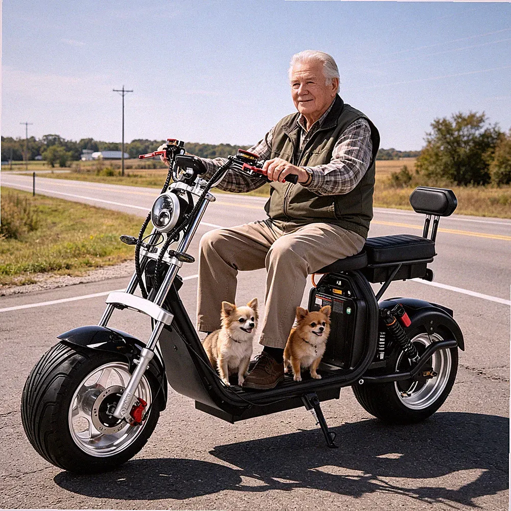 Harley Elektroroller 3000W Motor Deutsche Straßenverkehrsgenehmigung 45KM/H