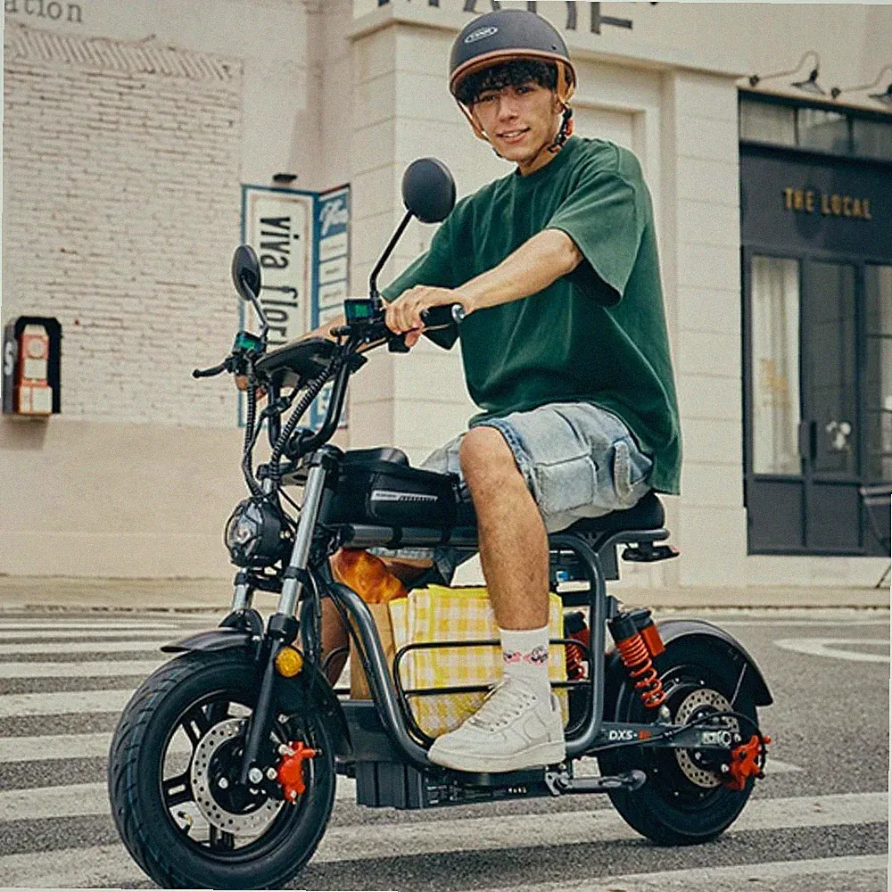 iScooter DX5 15 Zoll Elektroroller mit Einkaufskorb Off-road E-Scooter E-Roller