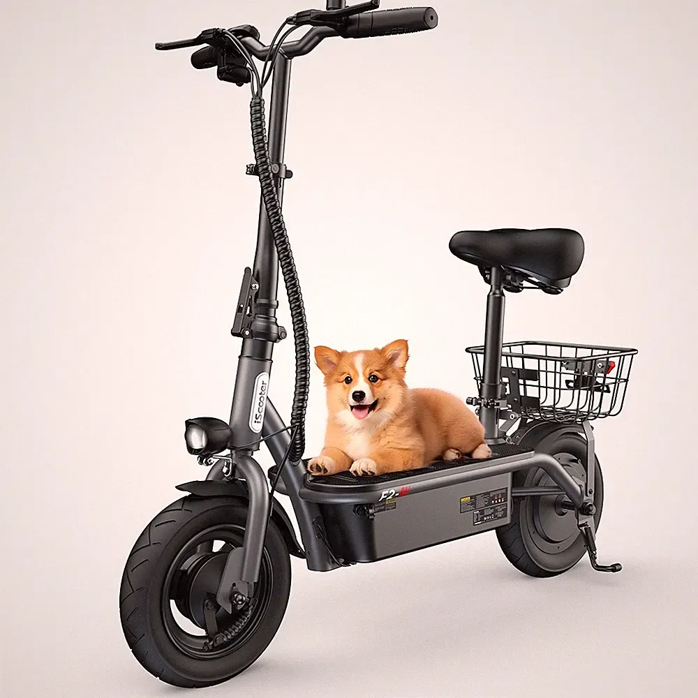 iScooter F2 Elektroroller mit Korb 500W 10" E-Scooter 30KMH E-Roller 120kg