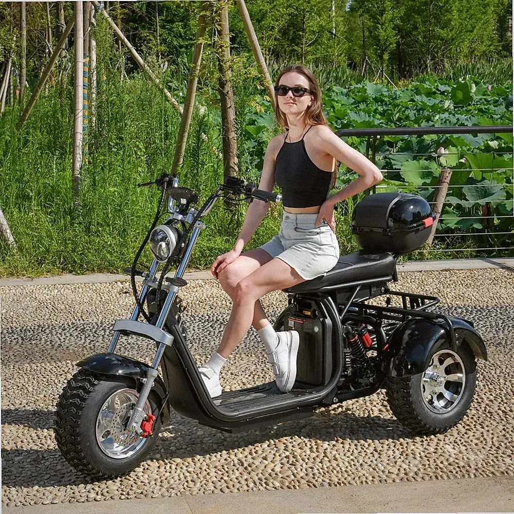 Kilometerstand 70-100KM Elektroroller 2000W 45KM/H 60V40AH Straßenzulassung COC