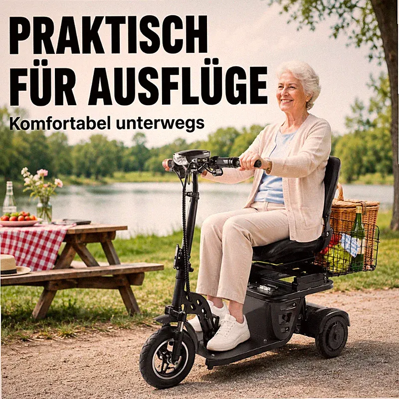 Klappbarer Seniorenroller Daibot Mini 500W Dual Motor E-Mobilität bis 120kg