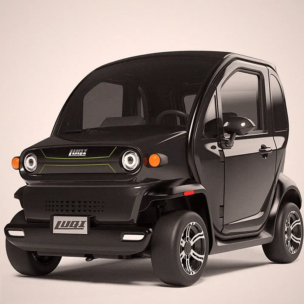 Luqi Elekro-Fahrzeug Mopedauto Kabinenroller für 2 Personen 45kmh Schwarz EV-300