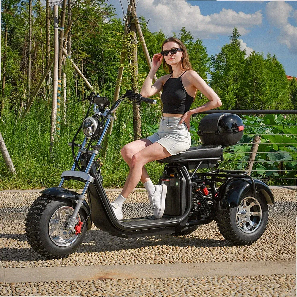 Maximale Last 250KG 18 Zoll Fat Citycoco Elektroroller 2000W Motor 45KM/H