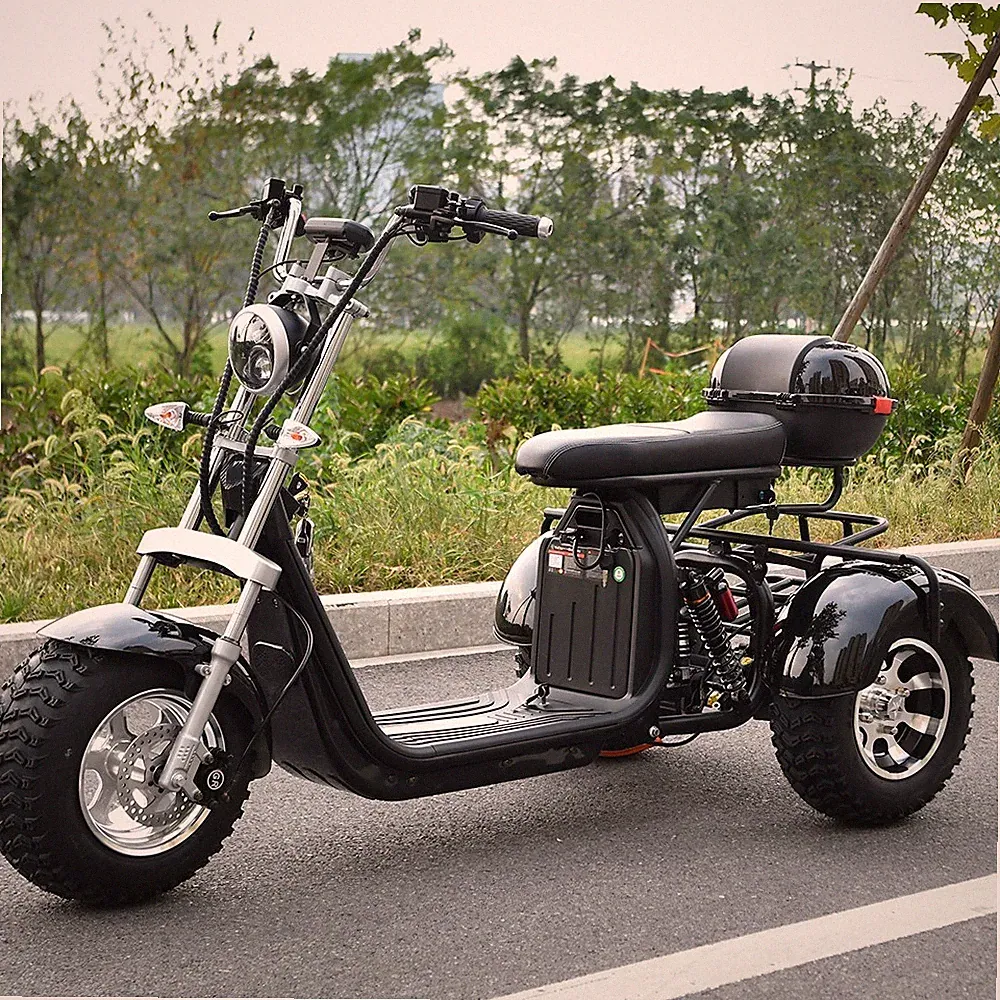 Maximale Last 250KG 18-Zoll-Fettreifen Citycoco Elektroroller 2000W Motor 45KM/H