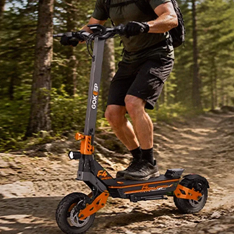 🔥NEU 10'' Elektro-Scooter Gokeep F4 Elektroroller 500W 15.6Ah 48V Eroller 55kmh